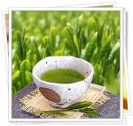 ชาเขียวใบชา Green  Tea